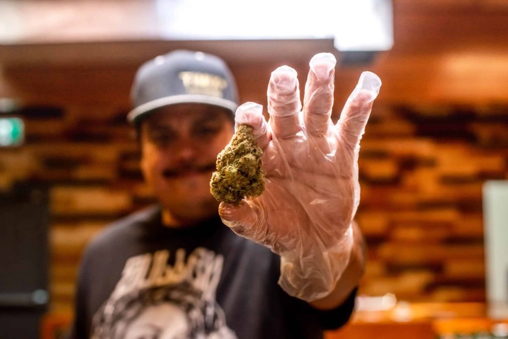 Indiginews copa award nominations