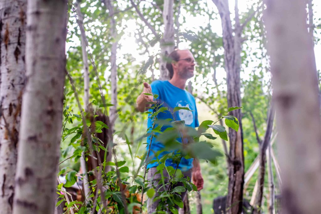 Summer solstice poetry performance
