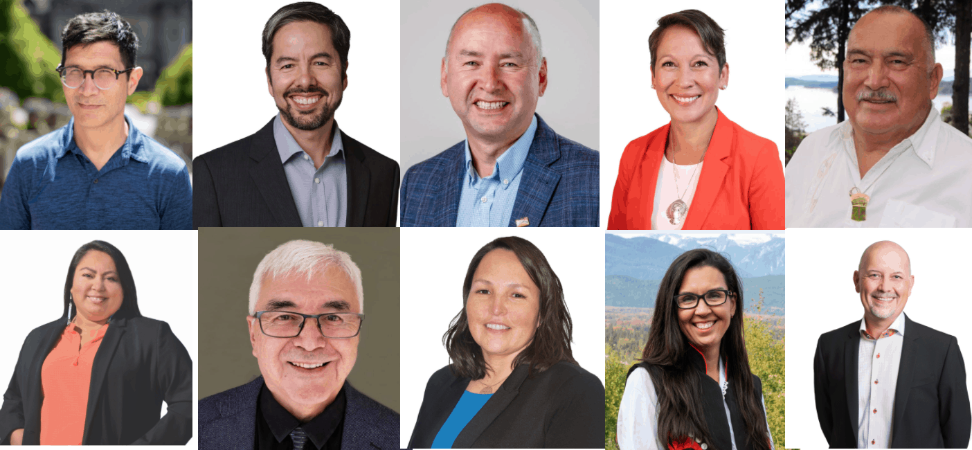 Indigenous Candidates In The 2020 Bc Provincial Election 