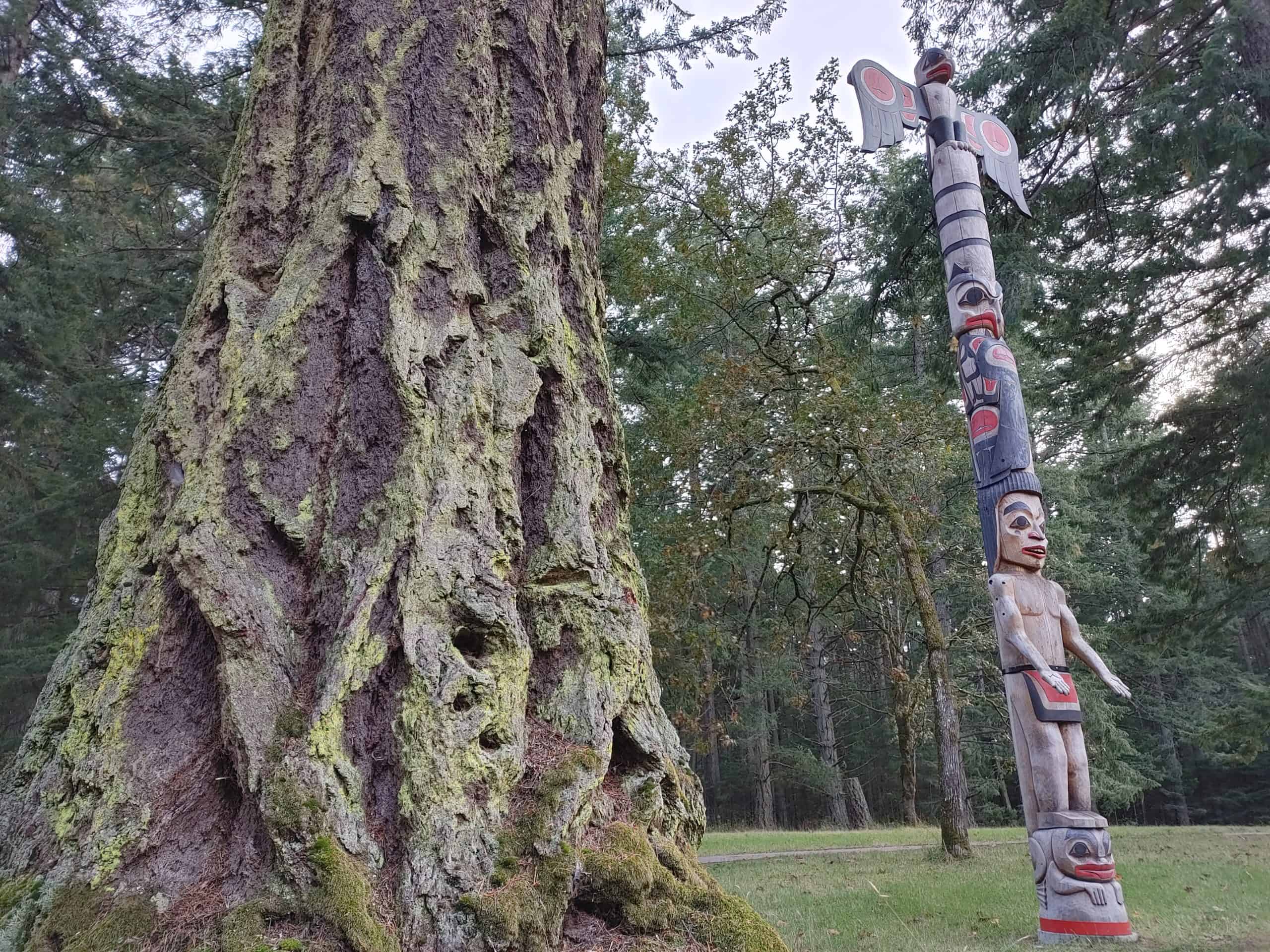 IndigiNews is covering education for Indigenous students, teachers, and families: Here’s the latest