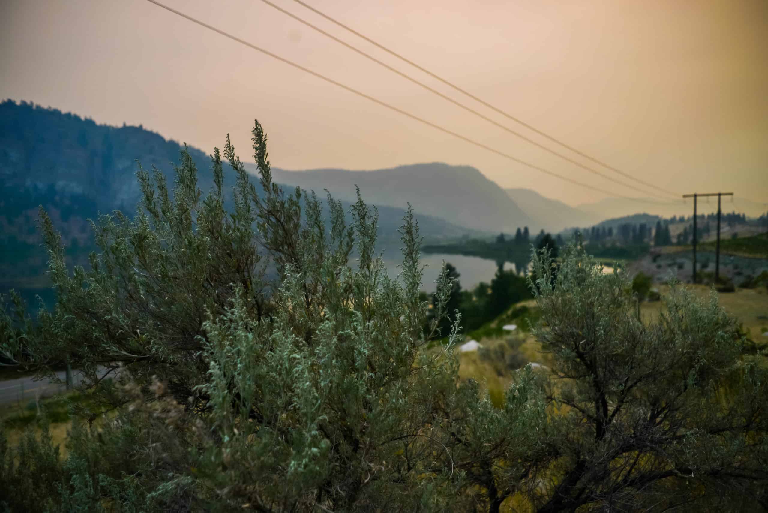 Okanagan Drought