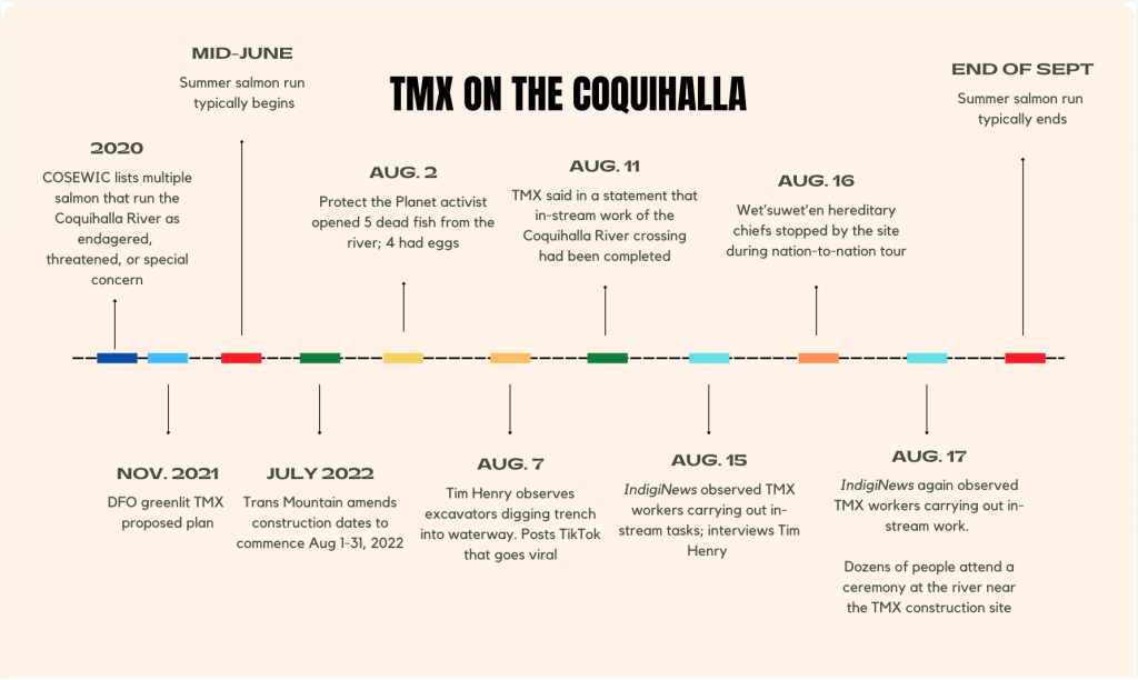 A timeline of events from 2020 when COSEWIC lists multiple salmon as endangered, to the start of a the summer salmon run in June, to the construction and events of activists throughout August 2022.