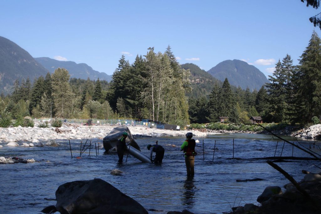 Three workers in hi-vis gear are removing a piece of metallic looking pipe from the middle f the river, where there are metal rebar sticking out of the water that had been used to dam up the river.