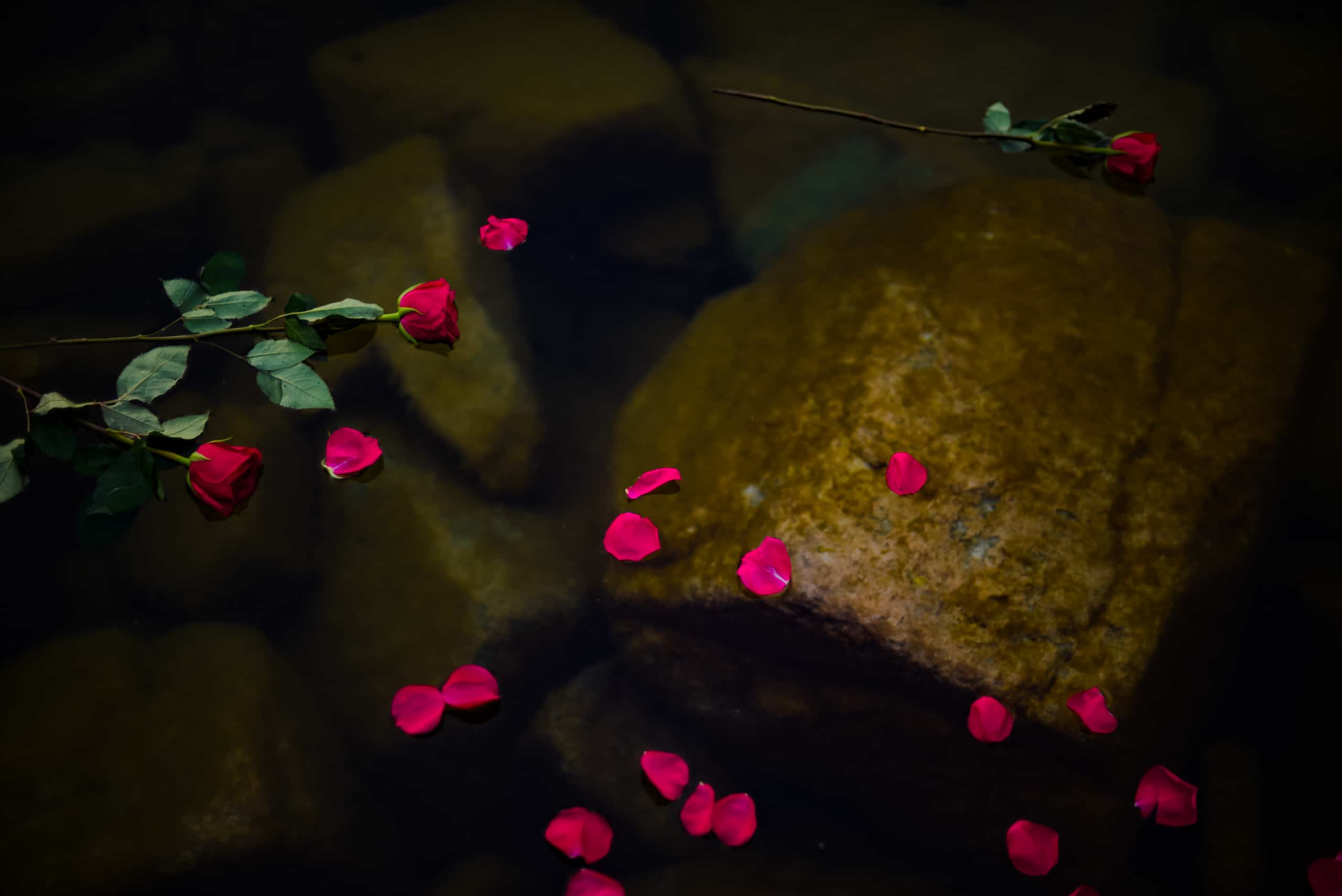 In the wake of more colonial violence, a love letter to those who are grieving