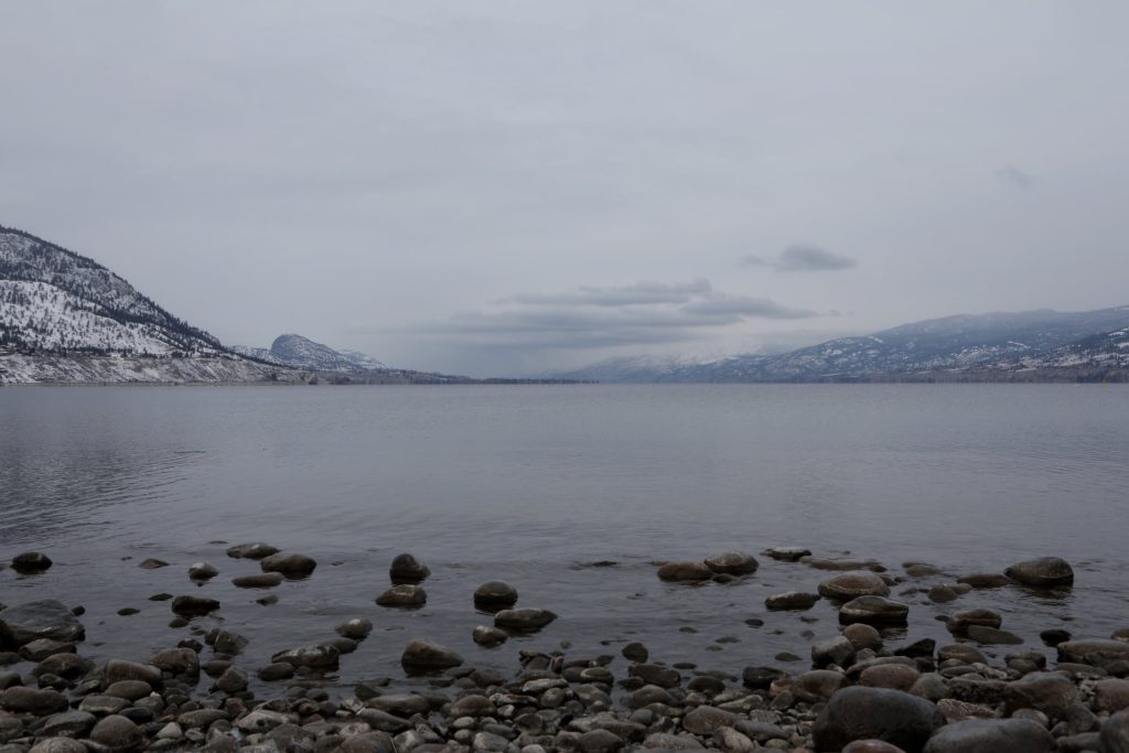 Along the shore of kɬúsx̌nítkʷ (Okanagan Lake) in sn'pinktn (Penticton) in syilx homelands on Dec. 2. Photo by Aaron Hemens