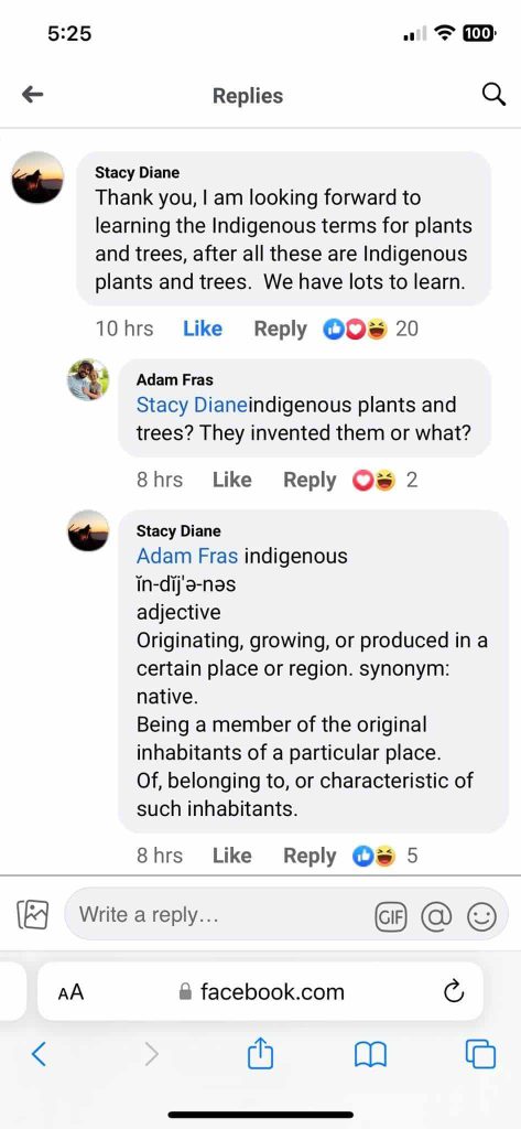 A screen shot of Facebook comments made by councillor Adam Fras.
