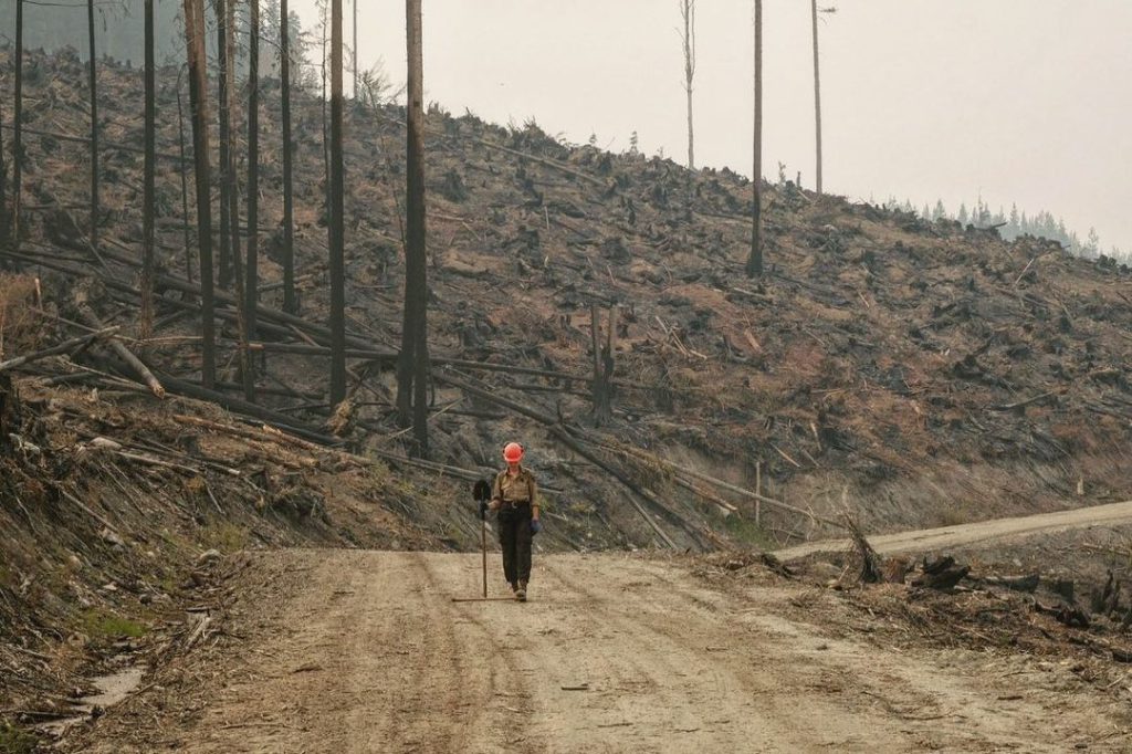 A wildfire fighter walks by a clearcut burned by a fire on Sinixt homelands. Photo by Mike Graeme