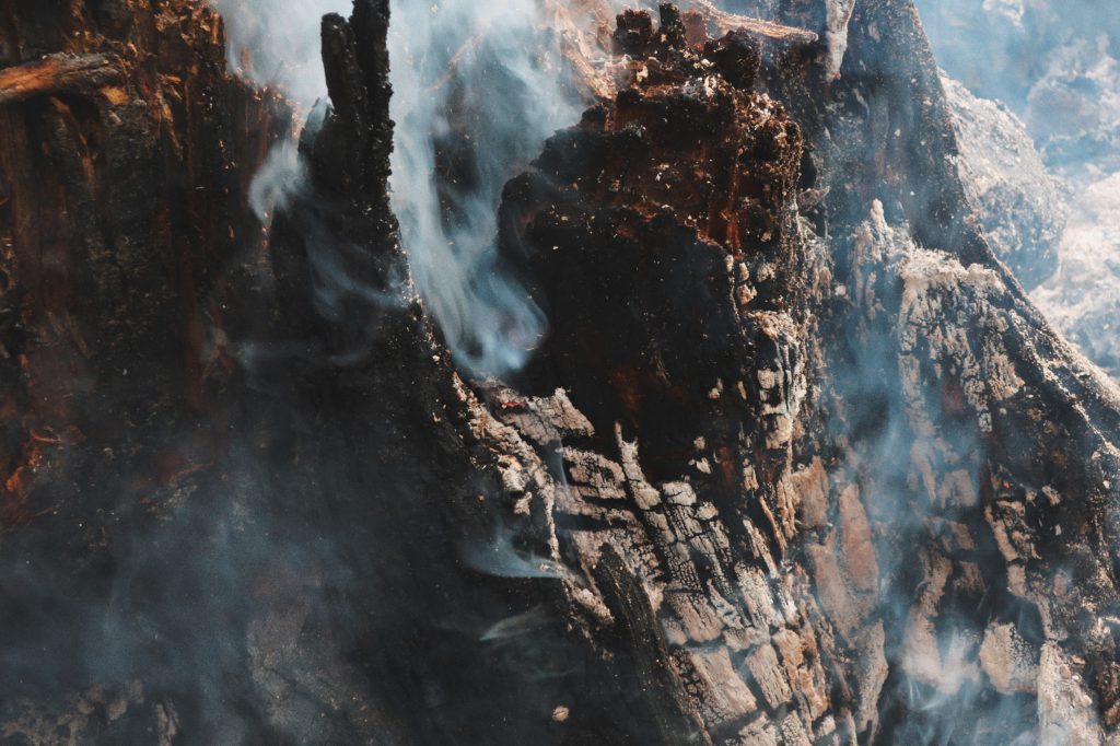 In contrast to decomposition, fire releases nutrients immediately back into the land. Photo by Mike Graeme