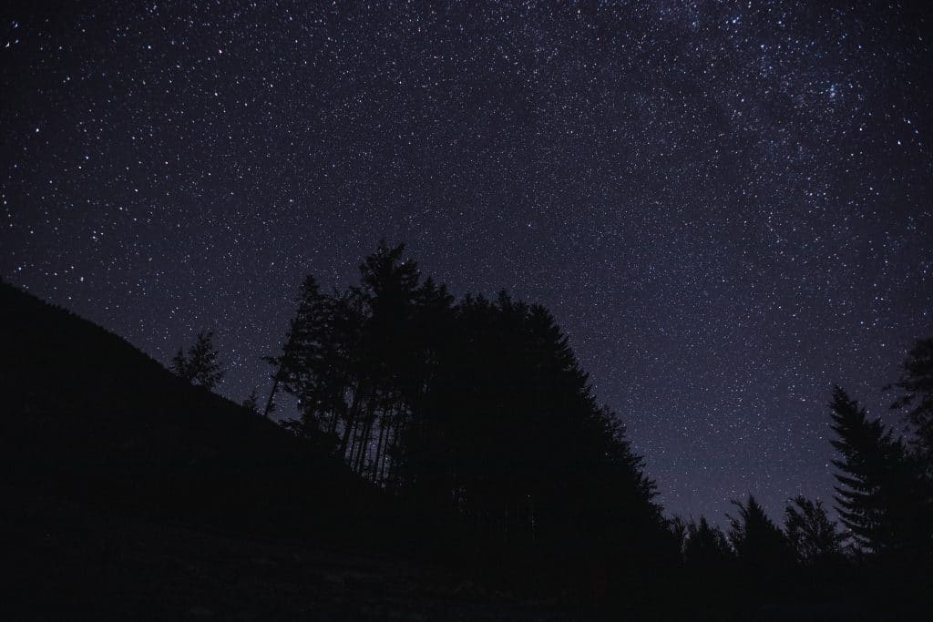 Stars over a cut block in Pacheedaht territory near “Port Renfrew” on “Vancouver Island” on Aug.  14, 2023. At least three people were arrested. Photo by Amber Bracken 