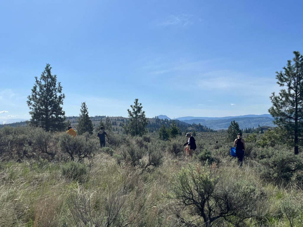 Students on the land harvesting sage. Submitted photo.