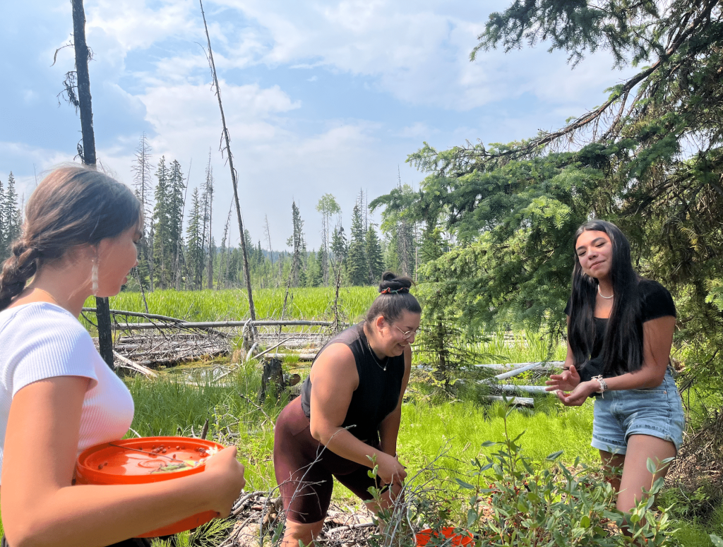 Students working together on the land picking berries. Submitted photo