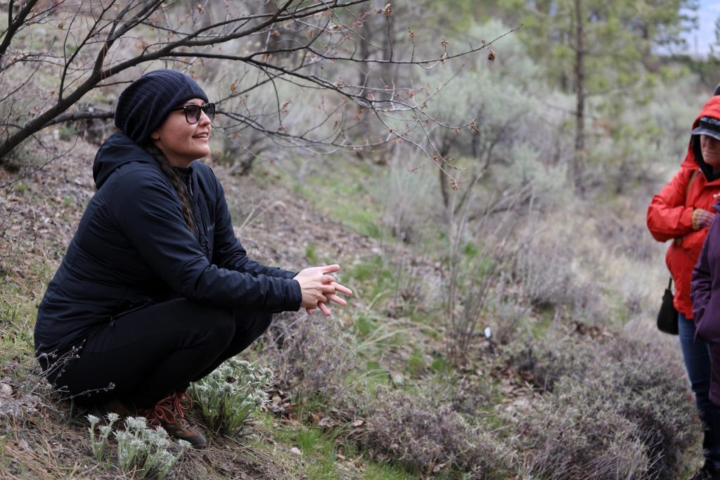 sknir̓mn (Buttercup) Anona Kampe shares syilx Okanagan cultural history of smúkʷaʔxn (arrowleaf balsamroot) during a community tour of “Summerland’s” Ornamental Gardens in her homelands on March 22. Photo by Aaron Hemens