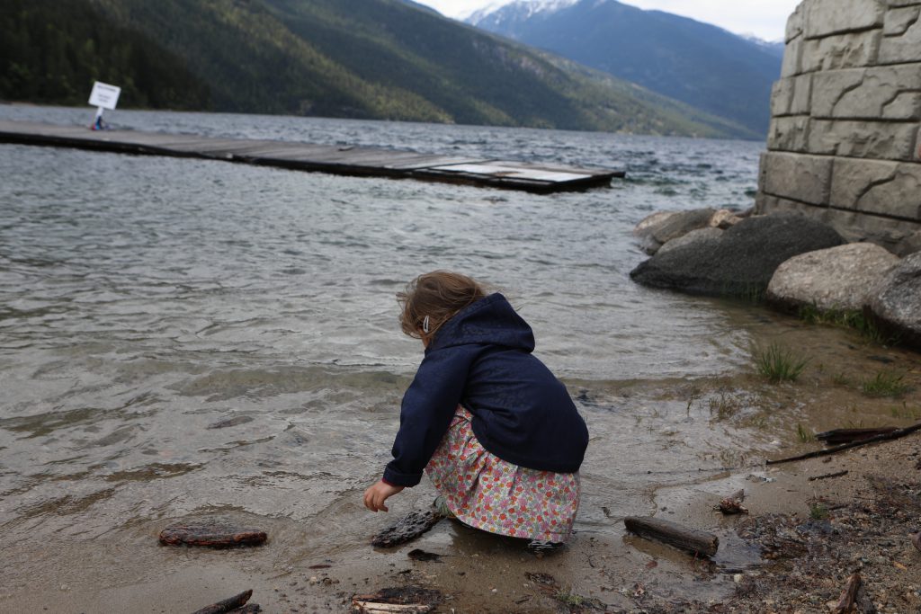 A child releases their salmon fry into Slocan Lake in syilx Okanagan territory during a ceremonial release hosted by the Okanagan Nation Alliance on May 13, 2024. Photo by Aaron Hemens