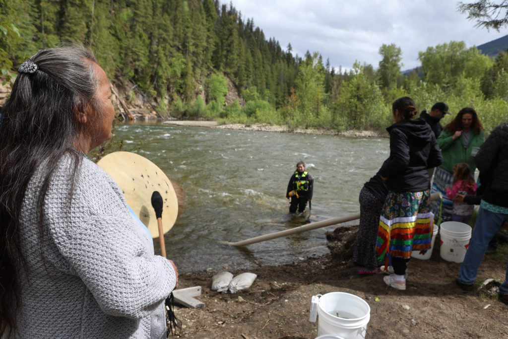 A salmon ceremonial release hosted by the Okanagan Nation Alliance gets underway at the Spallumcheen River in syilx Okanagan territory on May 22, 2024. Photo by Aaron Hemens