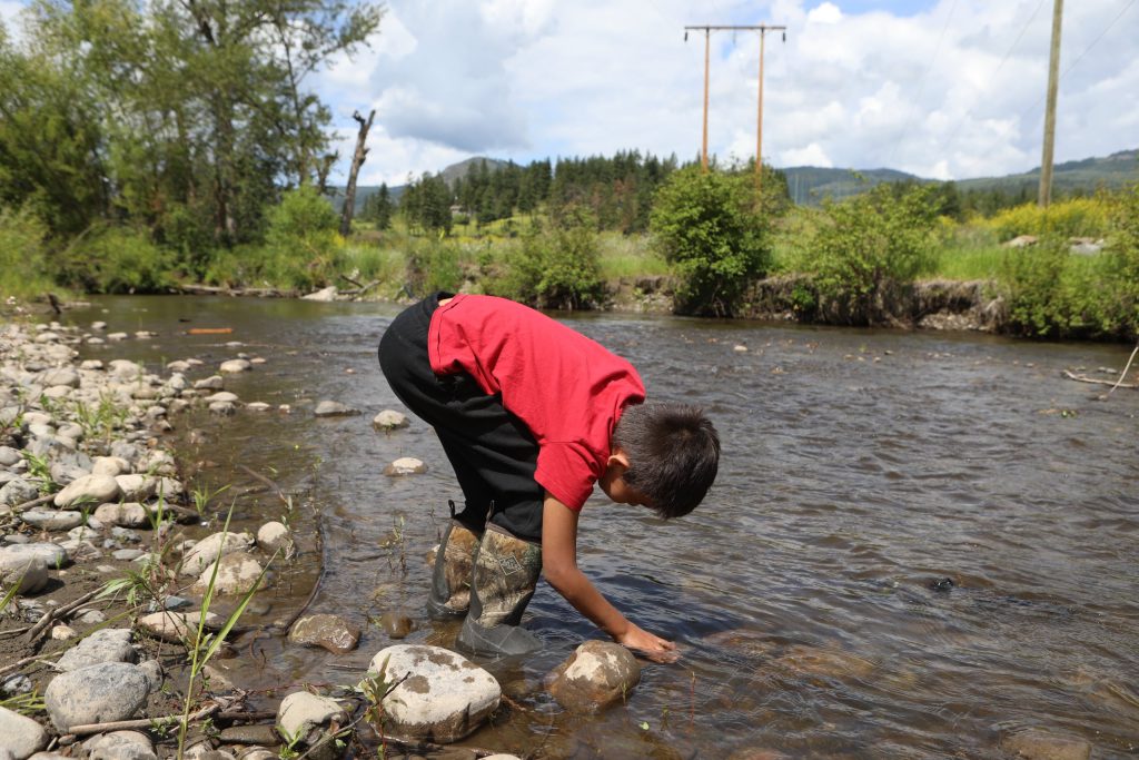A student from Okanagan Indian Band’s Cultural Immersion School runs their hand through the Salmon River in syilx Okanagan territory during a ceremonial release hosted by the Okanagan Nation Alliance on June 19, 2024. Photo by Aaron Hemens