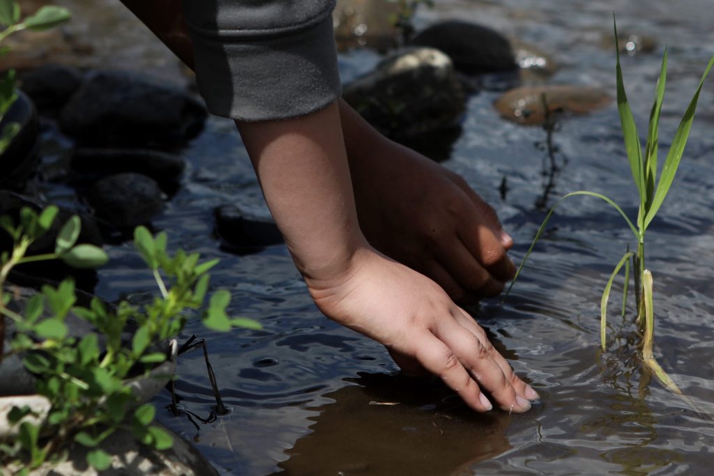 Students from Okanagan Indian Band’s Cultural Immersion School run their hands through the Salmon River in syilx Okanagan territory during a ceremonial release hosted by the Okanagan Nation Alliance on June 19, 2024. Photo by Aaron Hemens