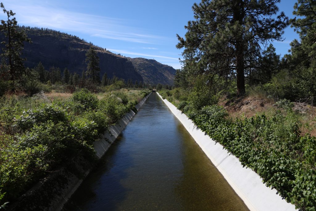 A channel of the Okanagan River, as a result of the dam at nʕaylintn (McIntyre Bluff), pictured on June 24, 2024. Photo by Aaron Hemens
