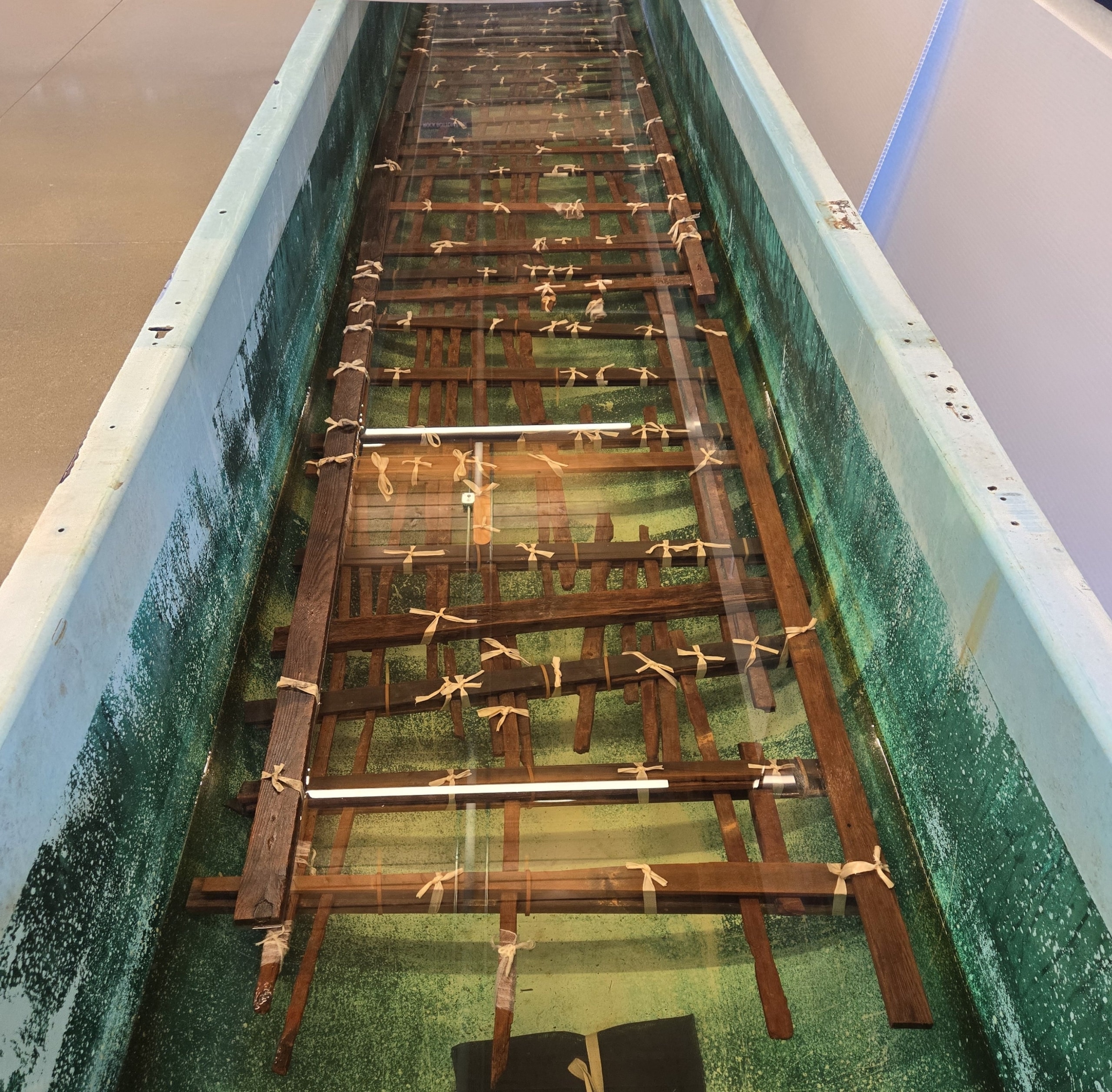 Centuries-old Pentlatch fish trap panel connects K’ómoks, Qualicum people to their ancestors