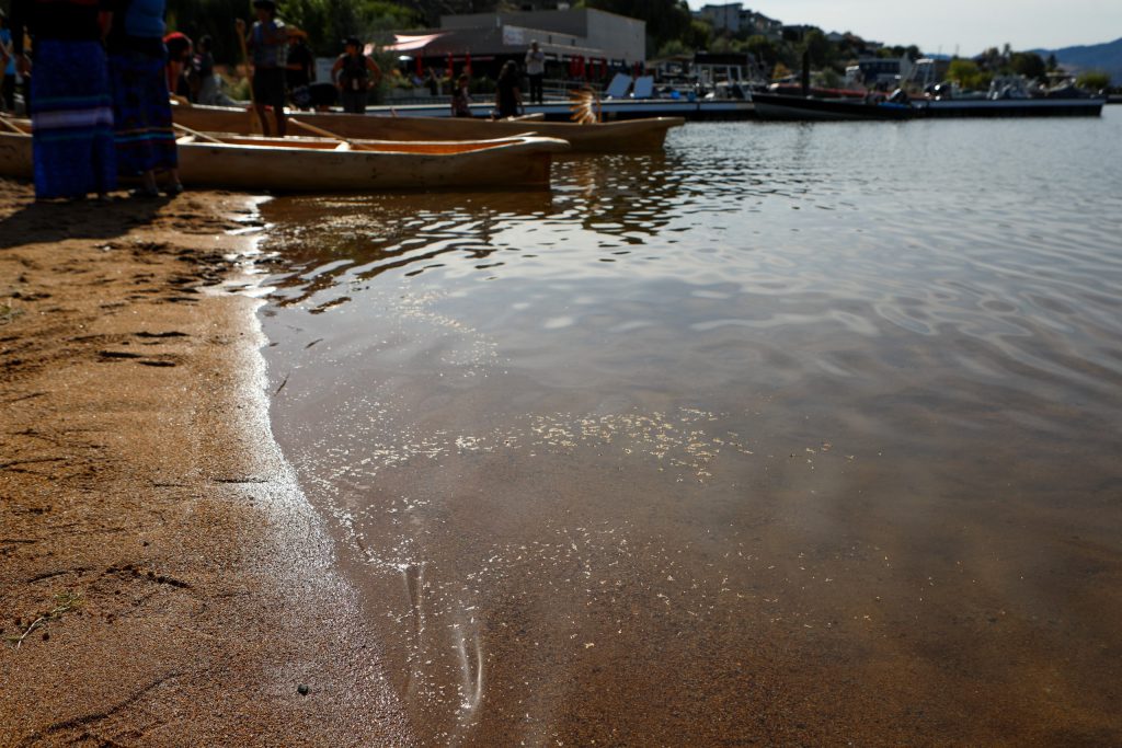 Tobacco offerings float in the water at Skaha Lake on Sept. 21, before acanoe journey during the syilx Nation’s 2024 salmon feast and celebration weekend. Photo by Aaron Hemens