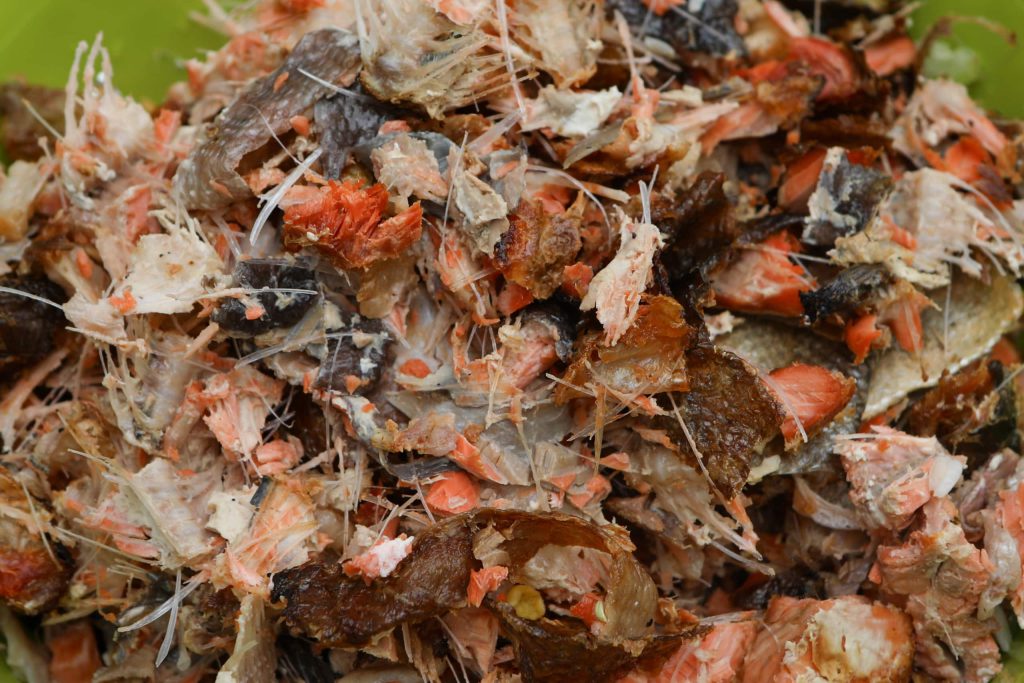 Salmon bones and skins are piled after an annual salmon feast, to be offered into the Okanagan River during a water ceremony at sx̌ʷəx̌ʷnitkʷ (Okanagan Falls) on Sept. 22. Photo by Aaron Hemens