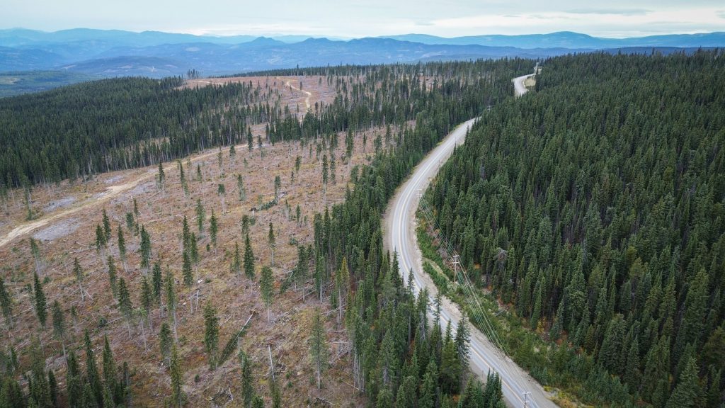 Development around the “Big White” mountain in syilx Okanagan territory on Oct. 4, as the ski resort continues its expansion. Recently, the Sinixt Confederacy extended their area of consultation into the ski resort’s development area, causing concern amongst the syilx Okanagan Nation. Photo by Aaron Hemens