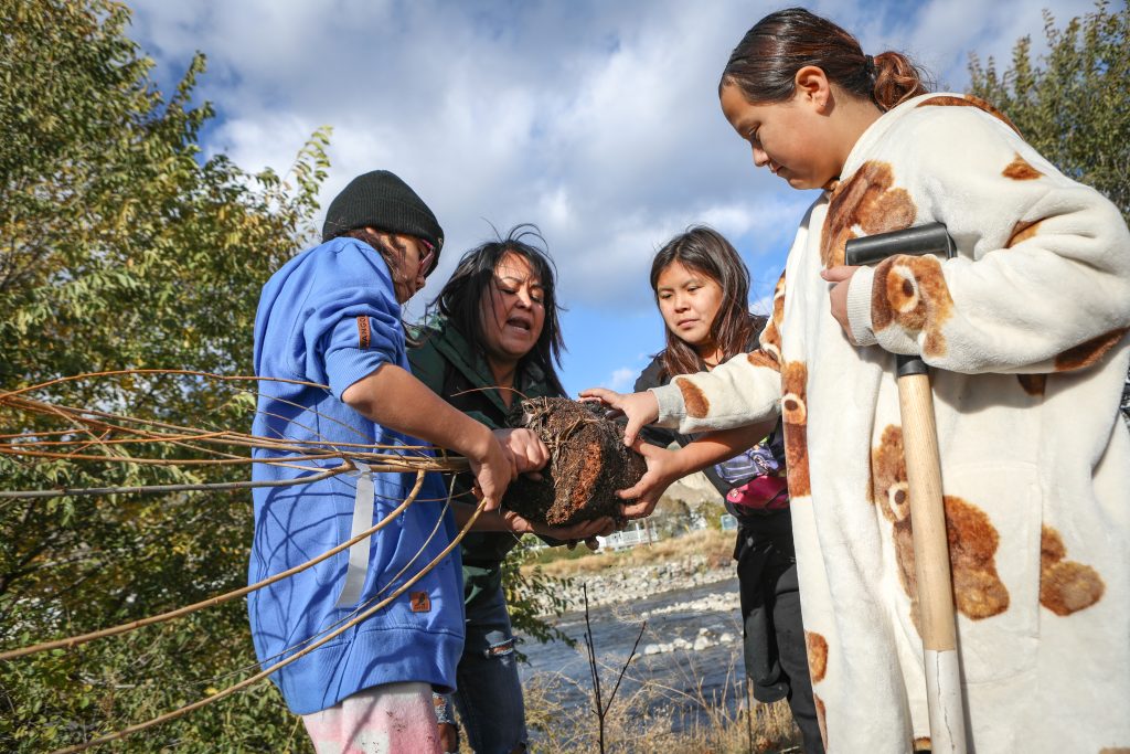 nx̌əx̌sítatkʷ Shayla Allison, a culture and language teacher at Outma Sqilx’w Cultural School, assists her elementary students with planting efforts at the fish passage site at Okanagan Lake Dam in sn’pink’tn (Penticton) on Nov. 7. Photo by Aaron Hemens