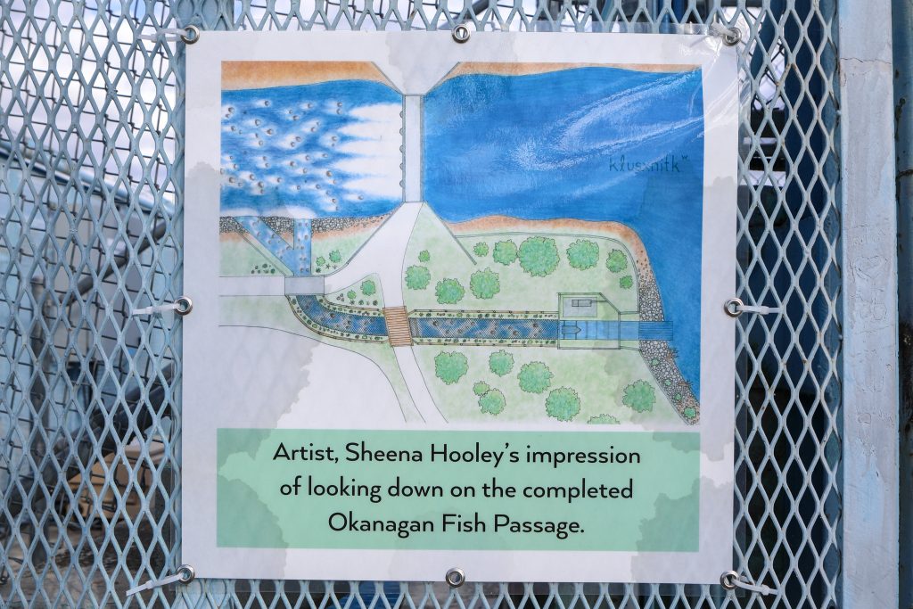 A community member’s drawing of the fish passage site at Okanagan Dam in sn’pink’tn (Penticton) is displayed at the dam on Nov. 7. Photo by Aaron Hemens