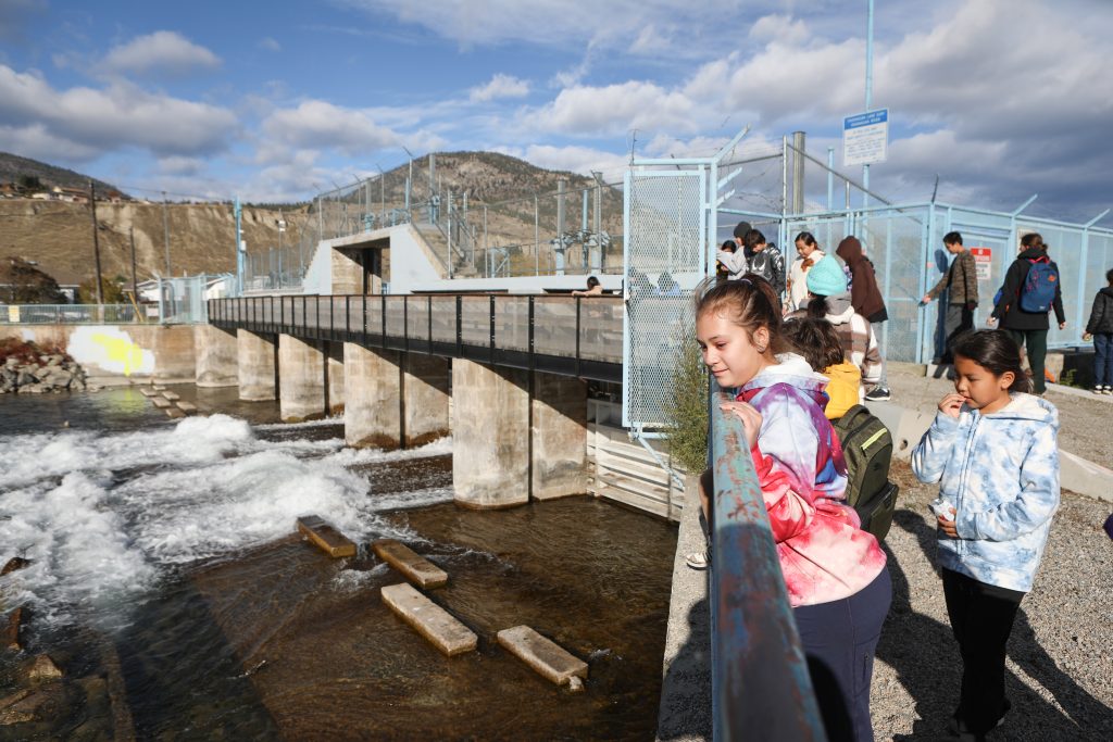 Elementary students from Outma Sqilx’w Cultural School peer below the Okanagan Lake Dam, towards a fish passage entrance along sq’awsitkʷ (Okanagan River), in sn’pink’tn (Penticton) on Nov. 7. Photo by Aaron Hemens