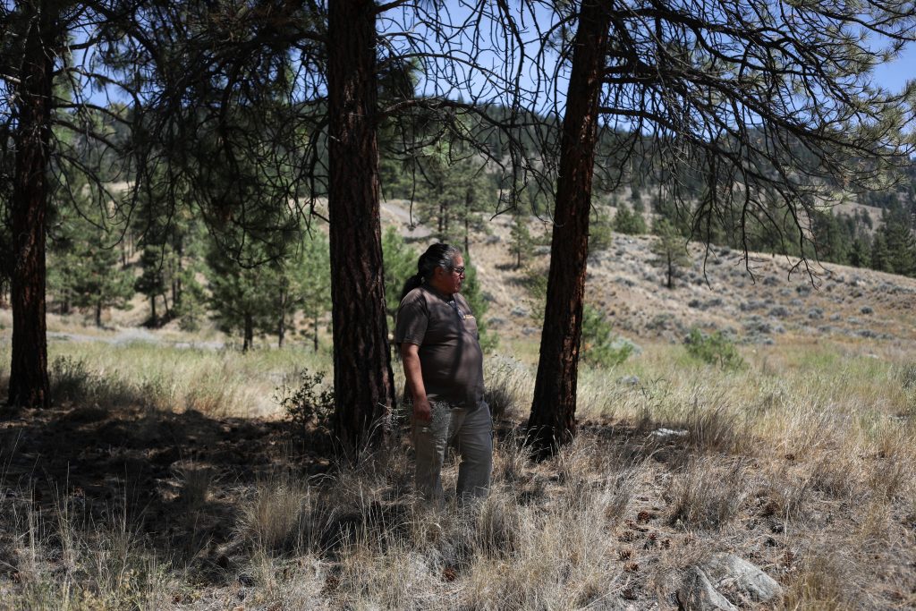 Joe Gilchrist stands among trees in a grassland in the northern part of ‘Merritt’ on July 16 — an area he treated with fire nearly two decades ago. In the years since, more fuel has accumulated on the ground, increasing wildfire risks. Photo by Aaron Hemens