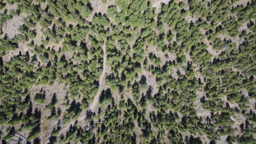 An aerial view of forests in the homelands of the Nlakaʼpamux and syilx Nations, on July 16. Photo by Aaron Hemens