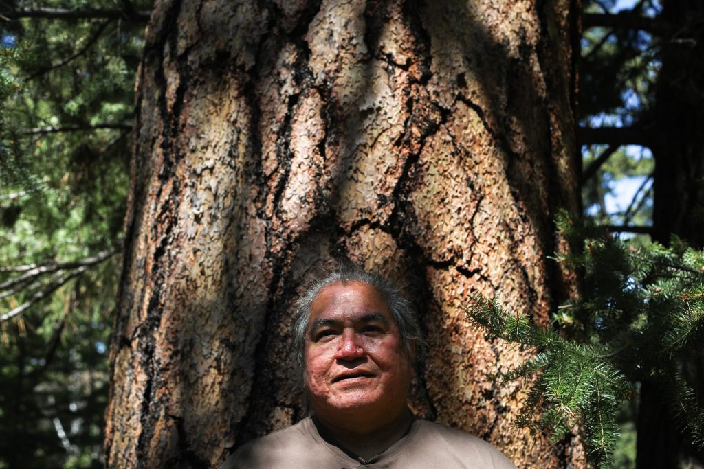Joe Gilchrist, a Secwépemc firekeeper, stands in a forest by Fox Farm Road near Merritt, in Nlakaʼpamux and syilx territory, on July 16. Photo by Aaron Hemens