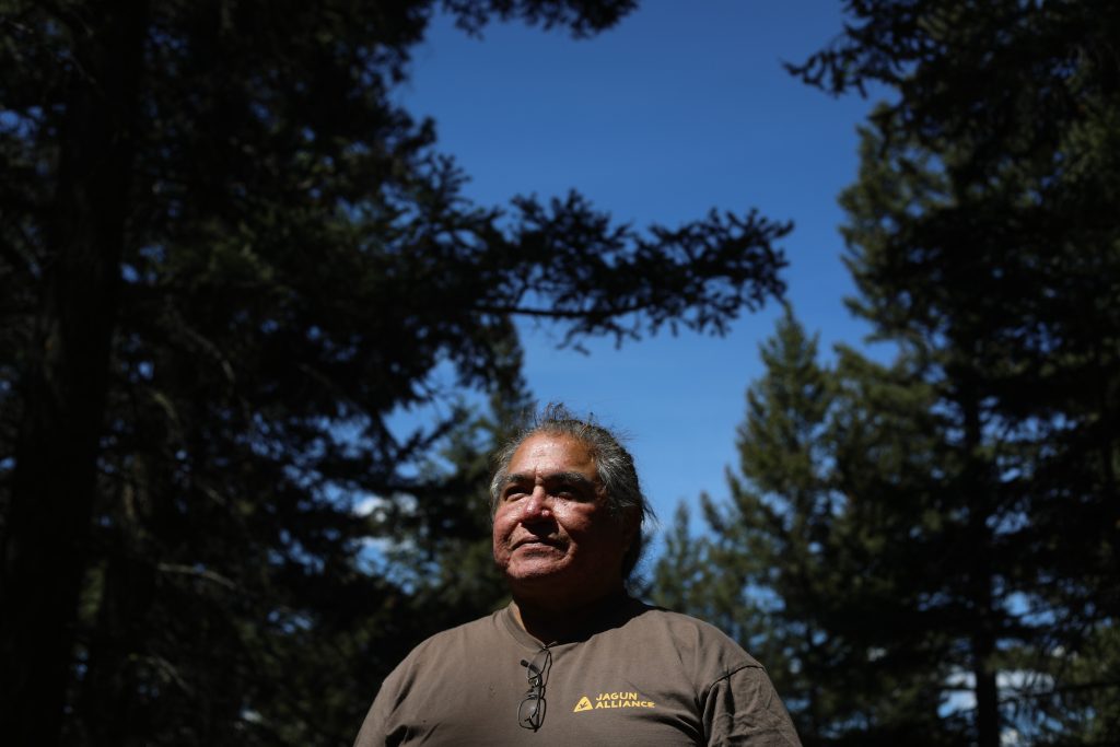 Joe Gilchrist stands in a forest by Fox Farm Road area near ‘Merritt’ on July 16. Photo by Aaron Hemens