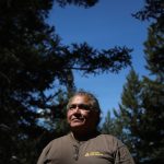 Joe Gilchrist stands in a forest by Fox Farm Road area near ‘Merritt’ on July 16. Photo by Aaron Hemens