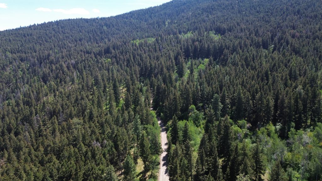 An aerial view on July 16 of thick forest by Fox Farm Road near ‘Merritt.’ Photo by Aaron Hemens