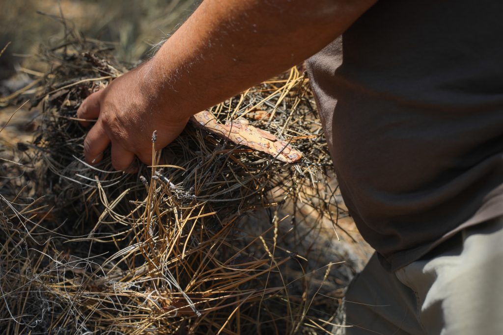Thick layers of needle droppings from trees have accumulated in an area that Joe Gilchrist once applied fire to the land nearly two decades ago. Photo by Aaron Hemens
