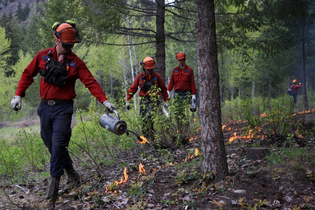 Members of B.C. Wildfire Service participate in a controlled burn with the Boothroyd Indian Band in Nlaka’pamux territory in 2024. Photo by Aaron Hemens
