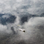 The waters of k’nmalka (Kalamalka) Lake in syilx Okanagan territory, in 2024. Photo by Aaron Hemens