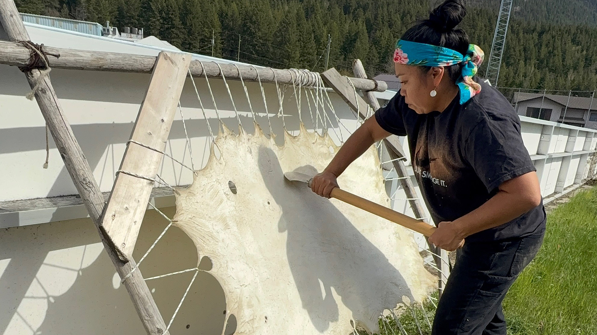 In Simpcw First Nation, Secwe̓pemc women are revitalizing hide tanning